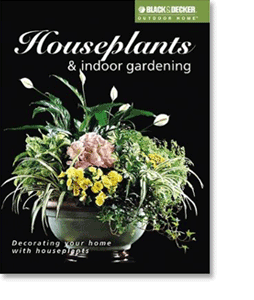 houseplants and indoor gardening