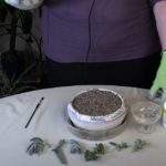 Propagating (Rooting) Succulents: Fast, Easy, Effective (Part 2)