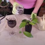 How to Convert Houseplants Rooted in Water to Soil