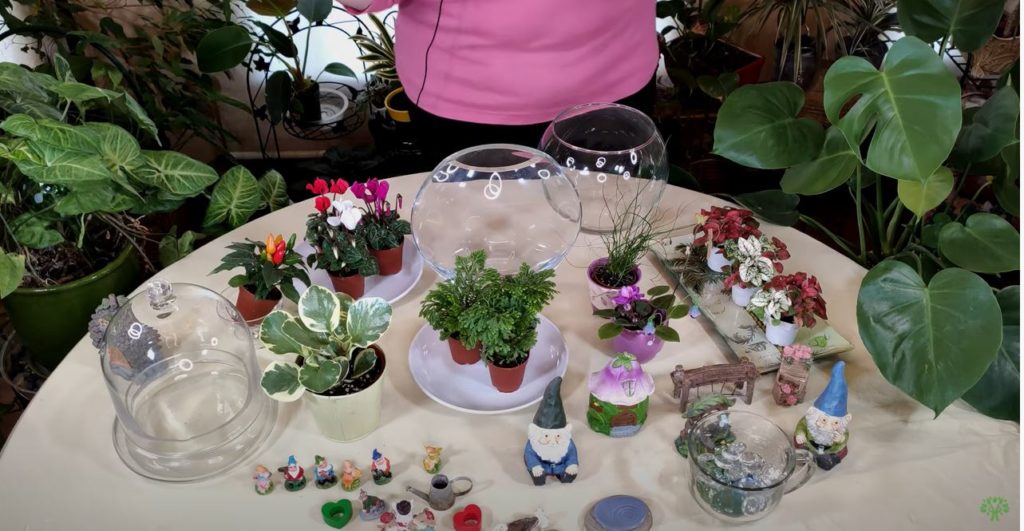 Making a Terrarium (Part 3) – Choosing Accessories