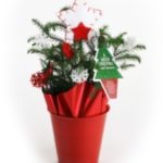 Holiday Gifts for Indoor Gardeners