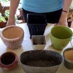 Types of Pots for Houseplants