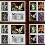 New Wild Orchids Stamps!