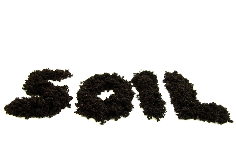 Word soil spelled out with soil