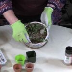 How to Propagate