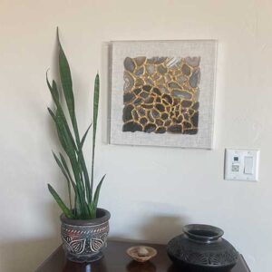 Snake Plant