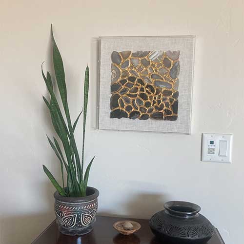 Snake Plant